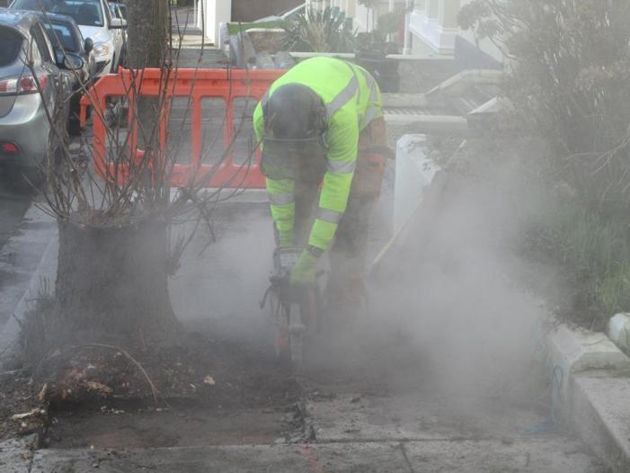 Clearing around the tree pit (2)