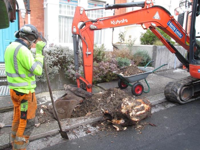 Lifting out the tree stump