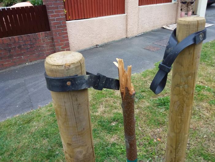Unfortunately some were vandalised in 2020