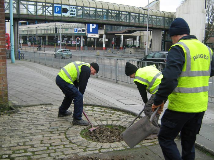 Planting the tree 2013