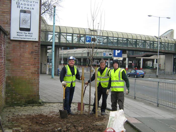 Planting the tree 2013