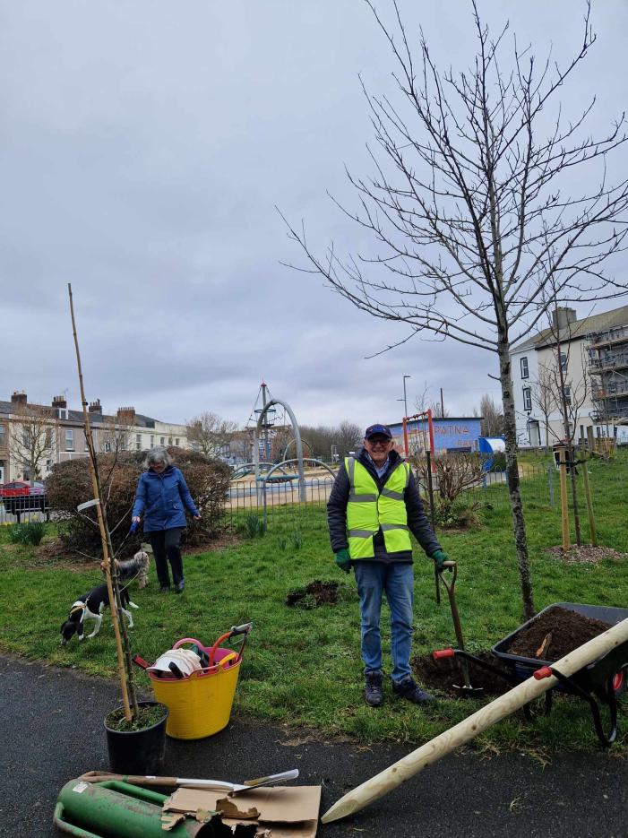 Planting the tree!