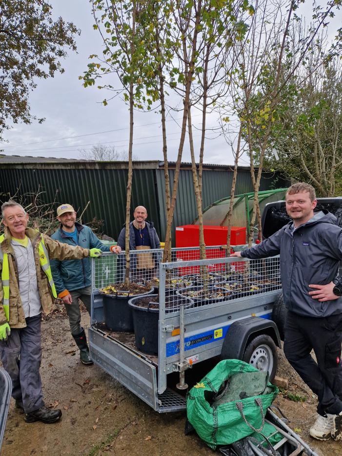 Chris, Mark, Owne and Stephen moving the trees 