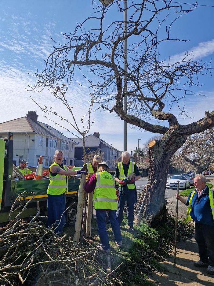 Attaching tree ties