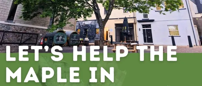 Let's help the maple in the square!