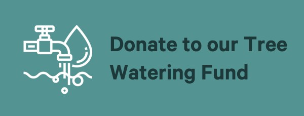 Donate regularly with our watering fund